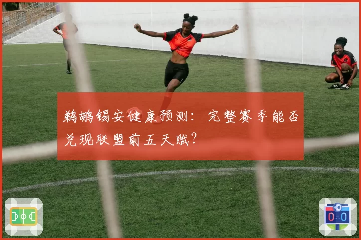 鹈鹕锡安健康预测：完整赛季能否兑现联盟前五天赋？